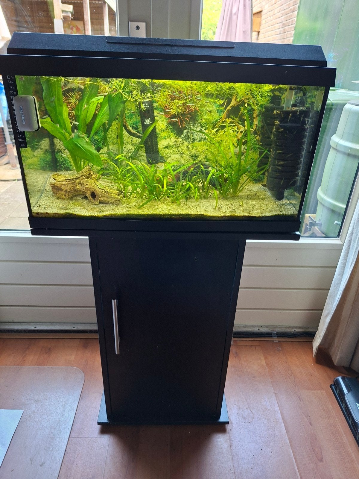Jewel aquarium 60 liter compleet met inhoud, Dieren en Toebehoren, Vissen | Aquaria en Toebehoren, Ophalen, Zo goed als nieuw