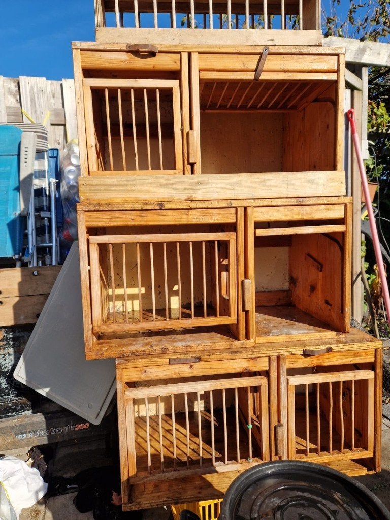 broedbakken, Meerdere dieren