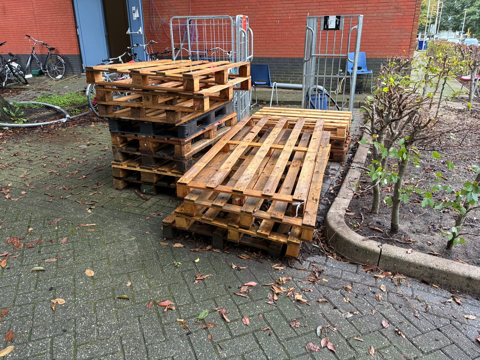 Gratis pallets ophalen, Ophalen, Overige houtsoorten, Minder dan 200 cm, Pallet