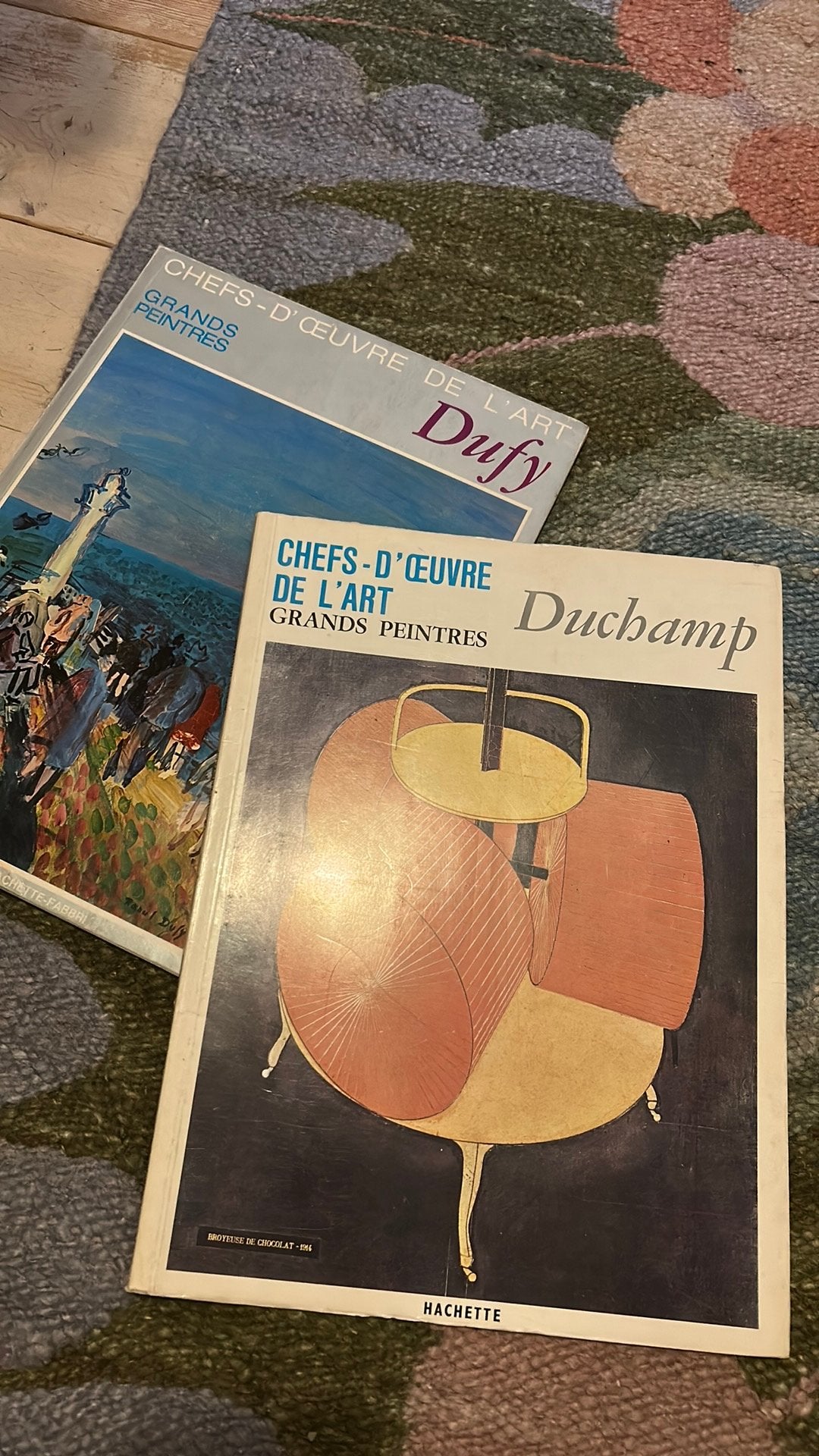 Chefs-d’oeuvre de l’art Grands Peintres Dufy & Duchamp, Ophalen of Verzenden, Gelezen, Schilder- en Tekenkunst