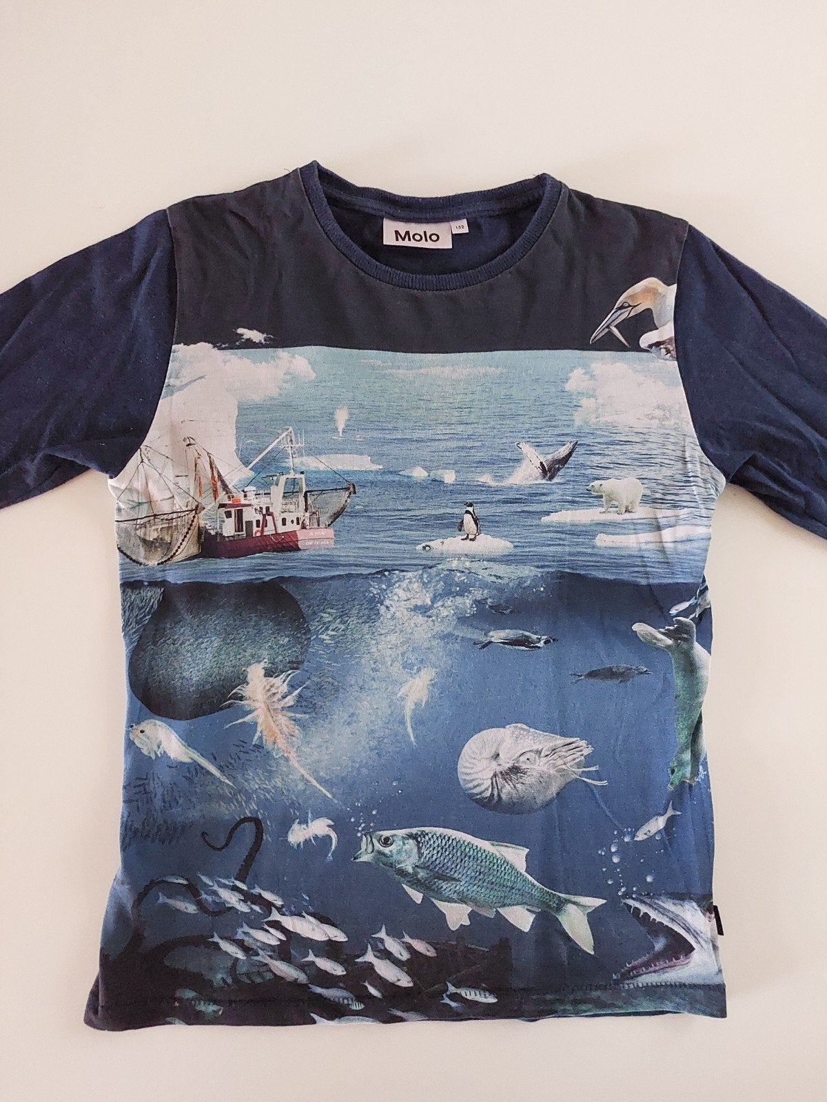 Molo shirt longsleeve maat 152, Ophalen, Zo goed als nieuw, Jongen, Shirt of Longsleeve