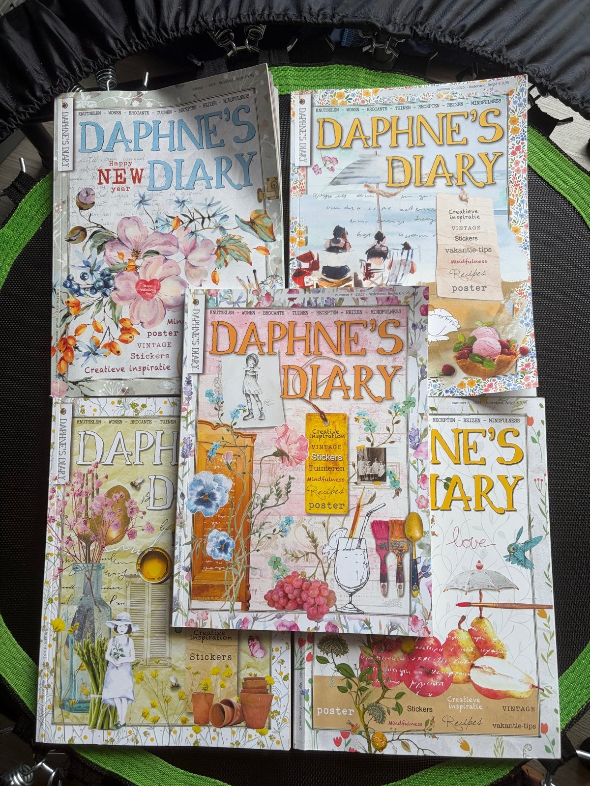 5 x Daphne's Diary: Inspiratie om te lezen of mee te knutsel, Ophalen of Verzenden, Gelezen, Damesbladen