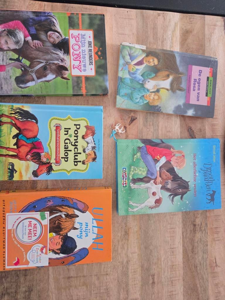 Ponyboeken collectie - 5 stuks, Ophalen of Verzenden, Gelezen, Diverse auteurs, Fictie algemeen