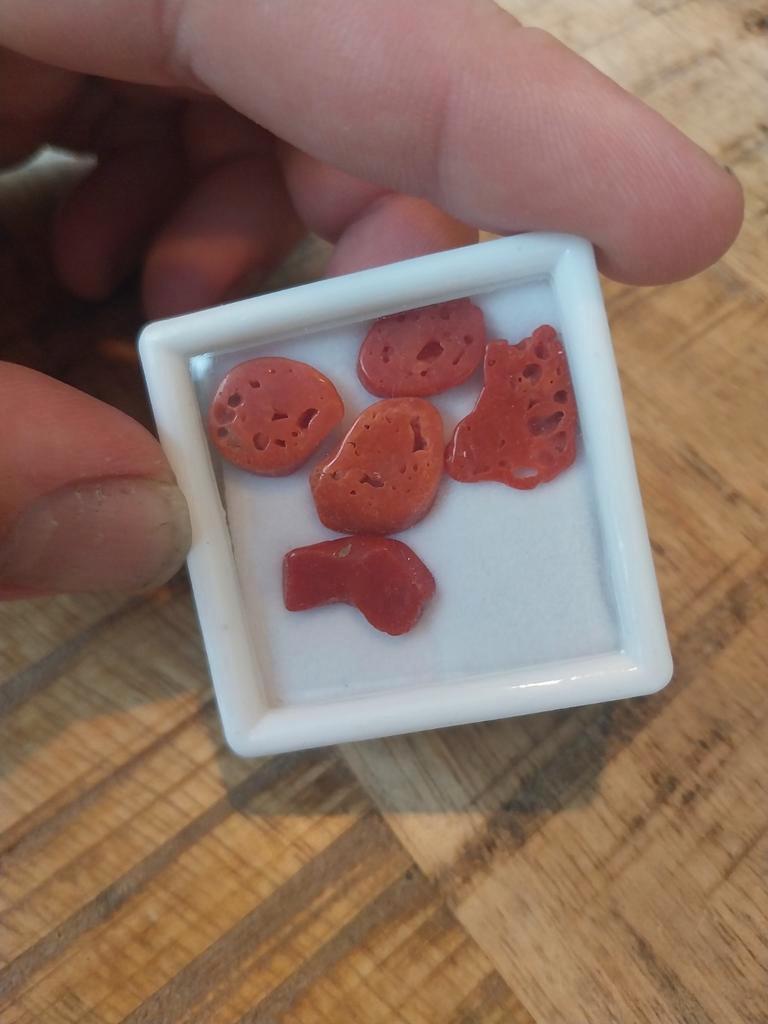Koral schijfjes antiek, Verzamelen, Ophalen of Verzenden
