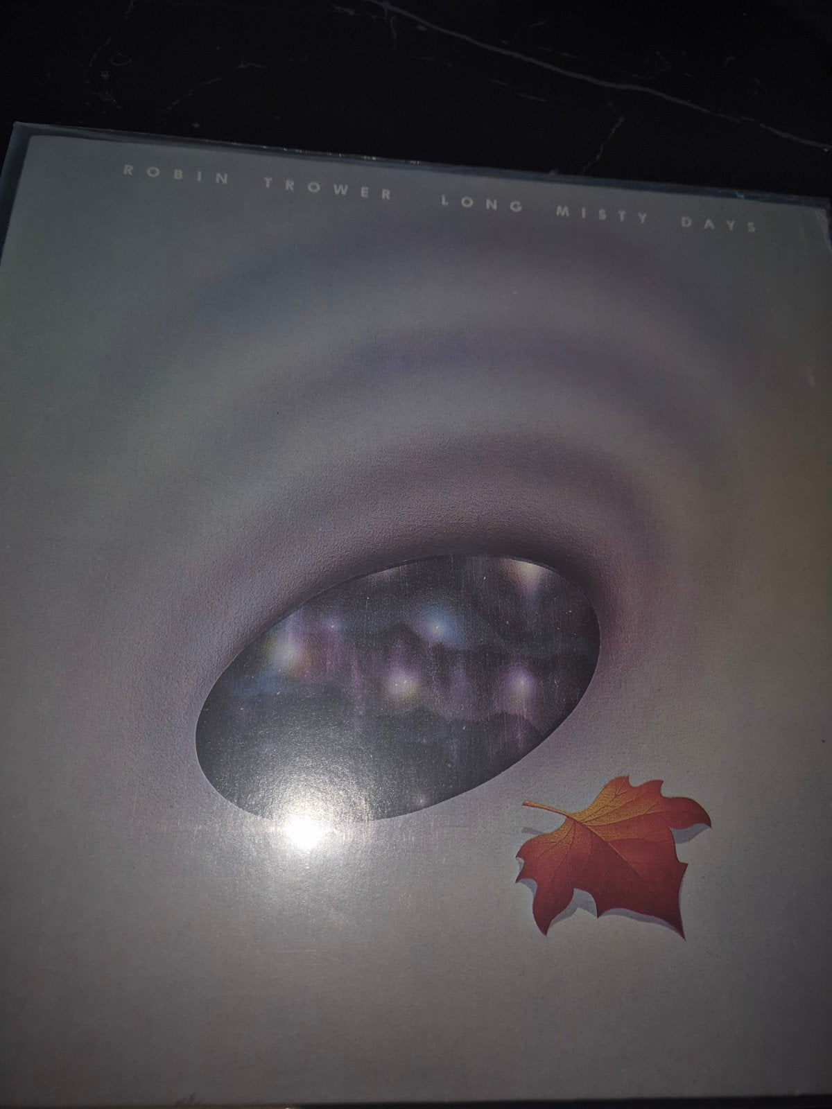 Robin Trower, Cd's en Dvd's, Ophalen of Verzenden, Gebruikt, 12 inch, Poprock
