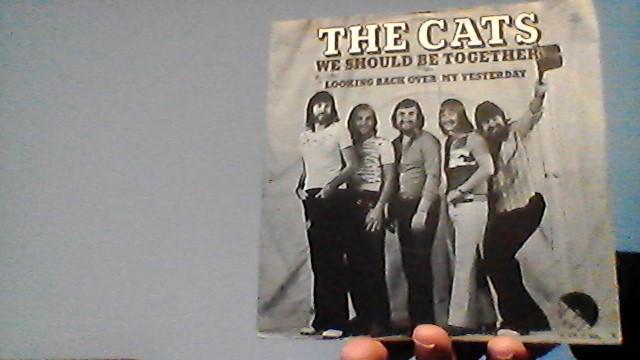 the cats jukebox single we should be together uit 1976, Cd's en Dvd's, Vinyl Singles, Verzenden, Zo goed als nieuw, Pop, Single