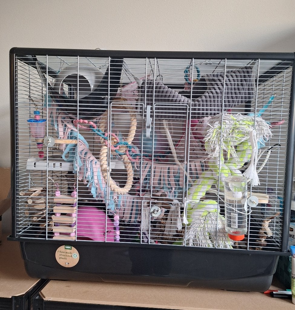 Zeno 2 rattenkooi, Dieren en Toebehoren, Knaagdieren en Konijnen | Hokken en Kooien, Ophalen, 60 tot 90 cm, 75 tot 110 cm, Rat