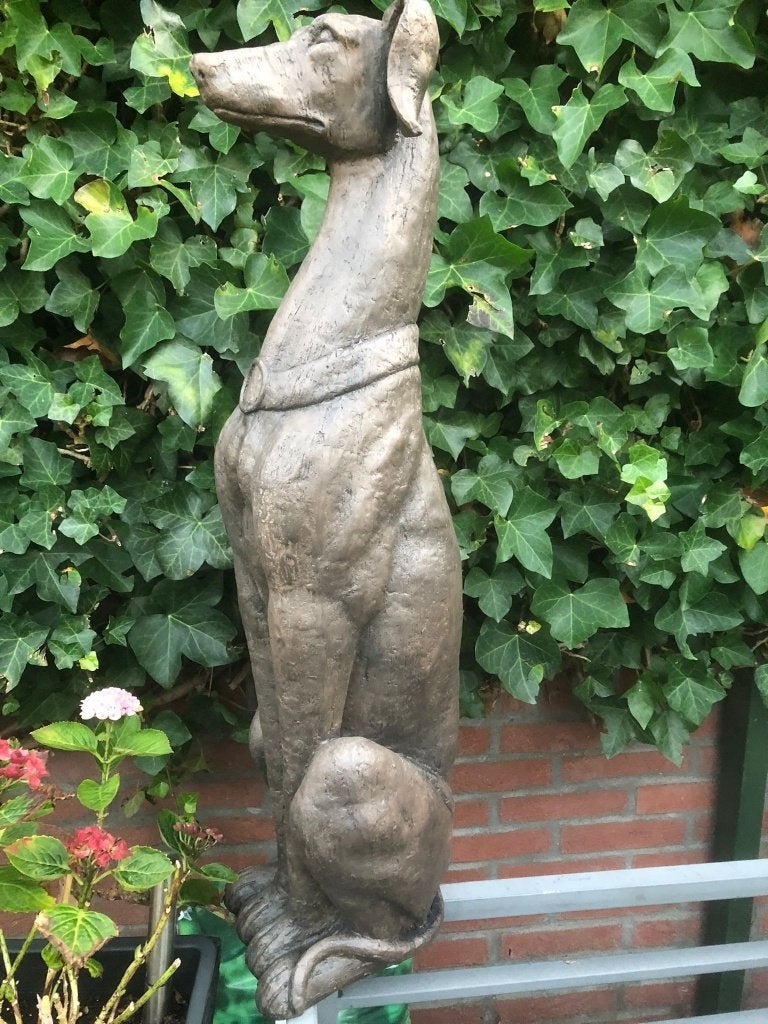 groot statig windhond hazewindhond beeld, Ophalen of Verzenden, Overige materialen