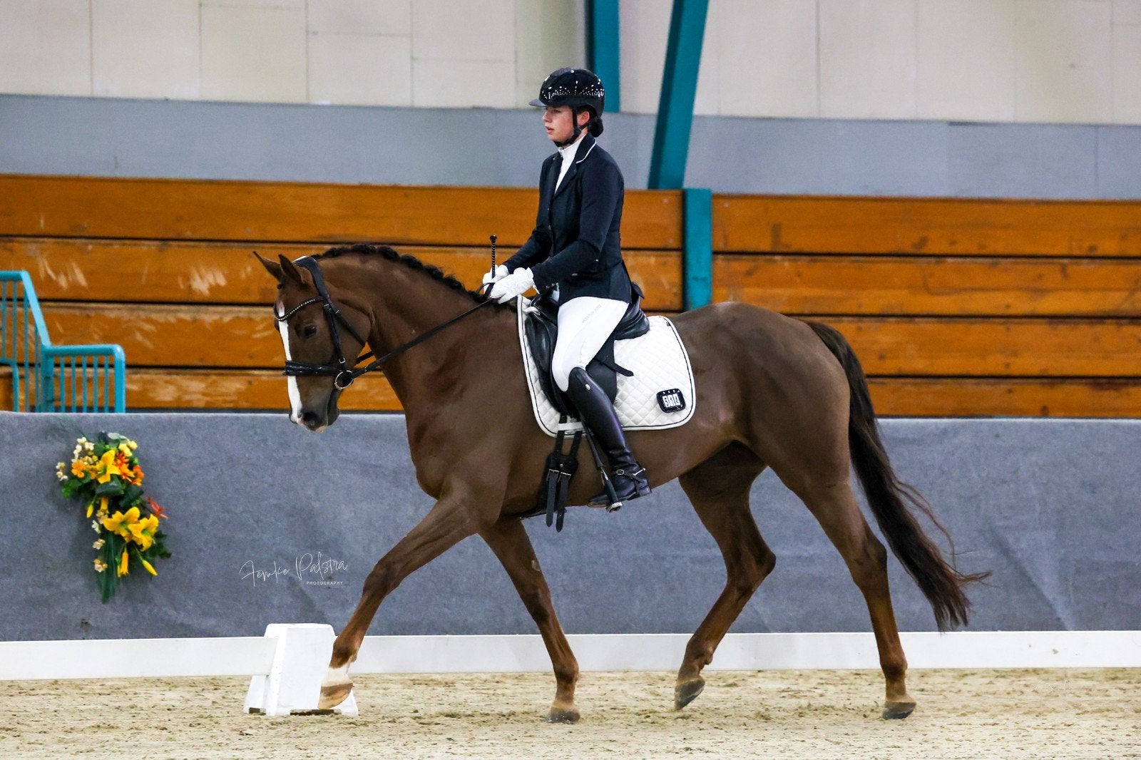 10 jarige lieve allround merrie, Merrie, Met stamboom, M, Dressuurpaard