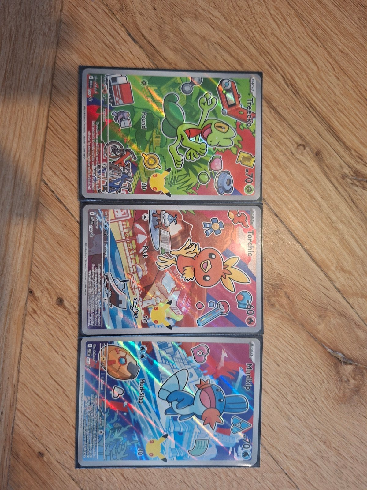 Pokémon Generatie 3 first Partner (Treecko, Torchic,, Hobby en Vrije tijd, Ophalen, Zo goed als nieuw, Meerdere kaarten