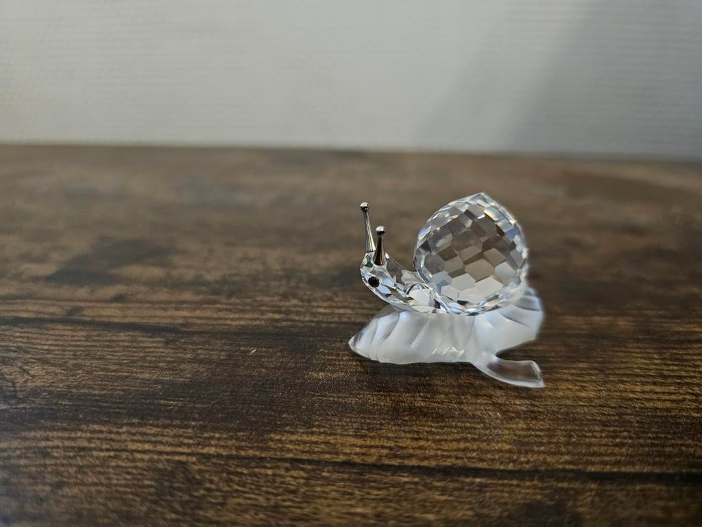 Swarovski Slak, Ophalen of Verzenden, Swaroski, Oostenrijk, Oostenrijk