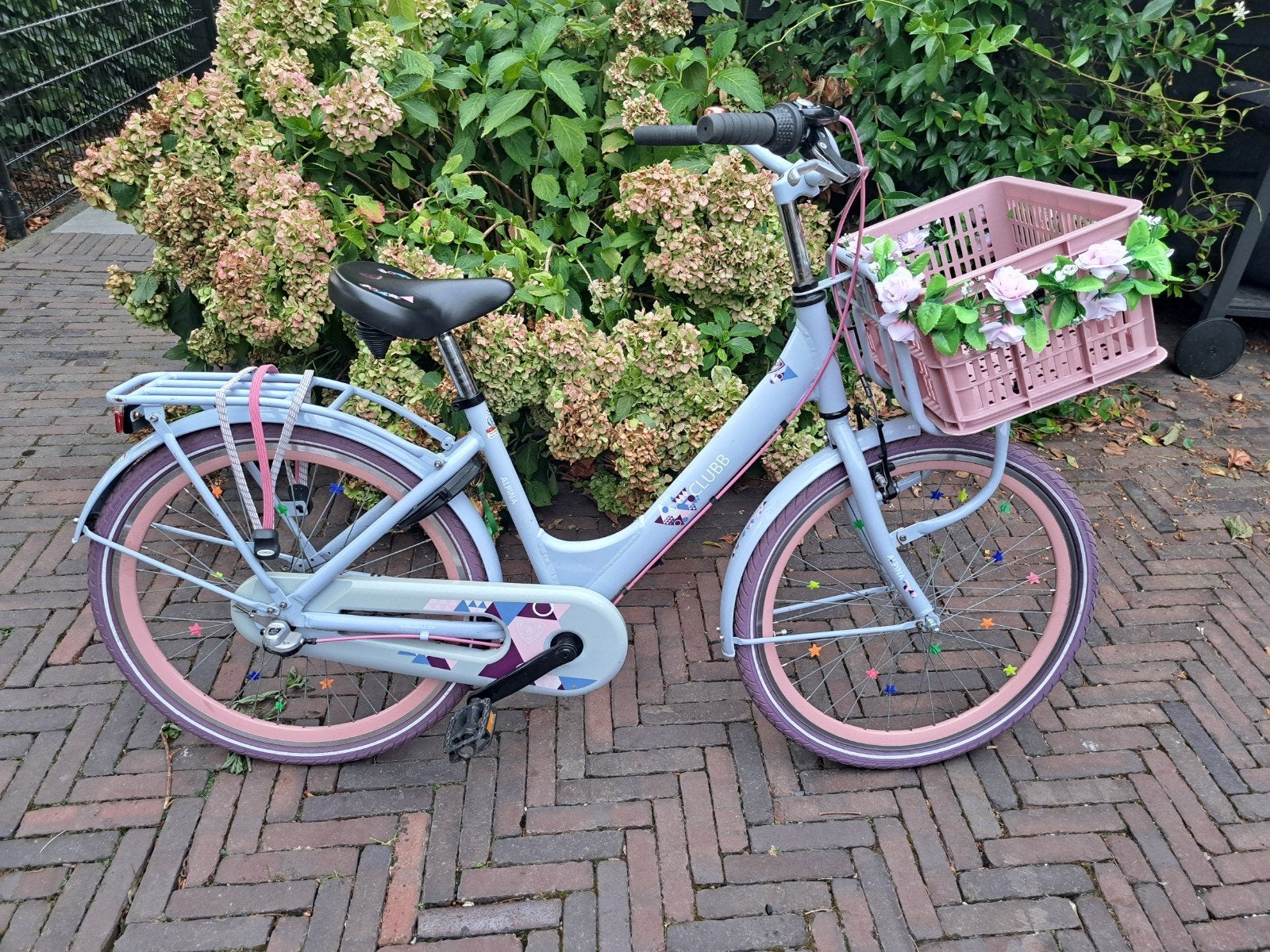 Alpina Clubb 24 inch  meisjesfiets, Ophalen, Terugtraprem, Alpina Clubb, 24 inch