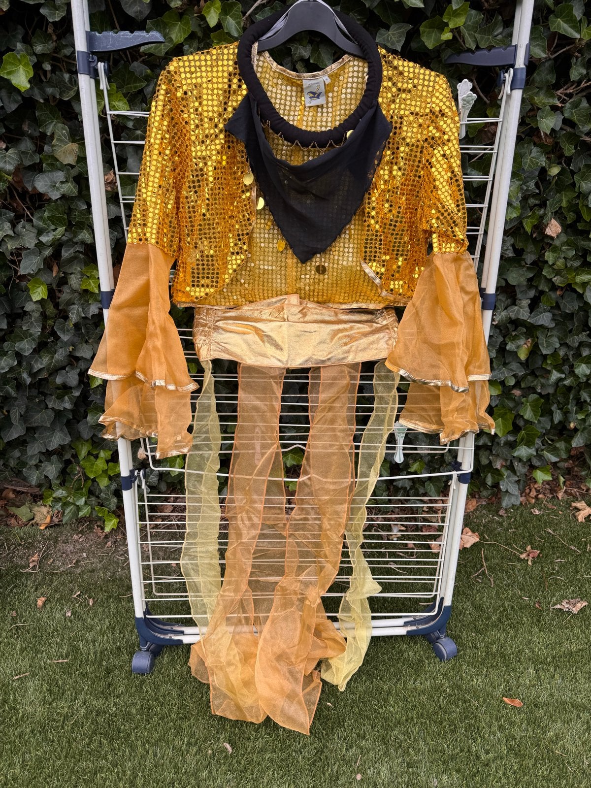 Gouden pailletten carnavalskleding - buikdanseres/zigeunerin, Maat 38/40 (M), Carnaval, Ophalen of Verzenden, Zo goed als nieuw