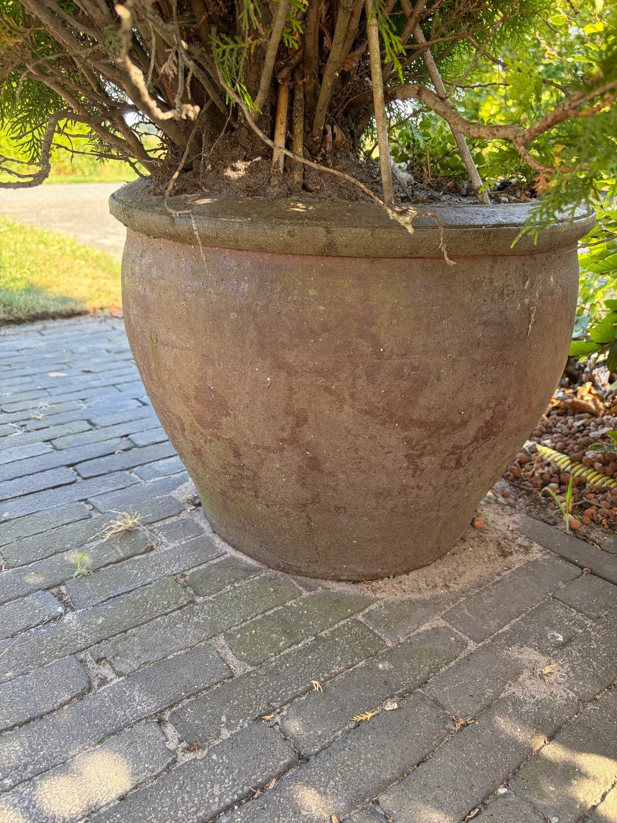 Grote bloempot met conifeer voor buiten, Tuin en Terras, Ophalen, Steen, Gebruikt, Rond