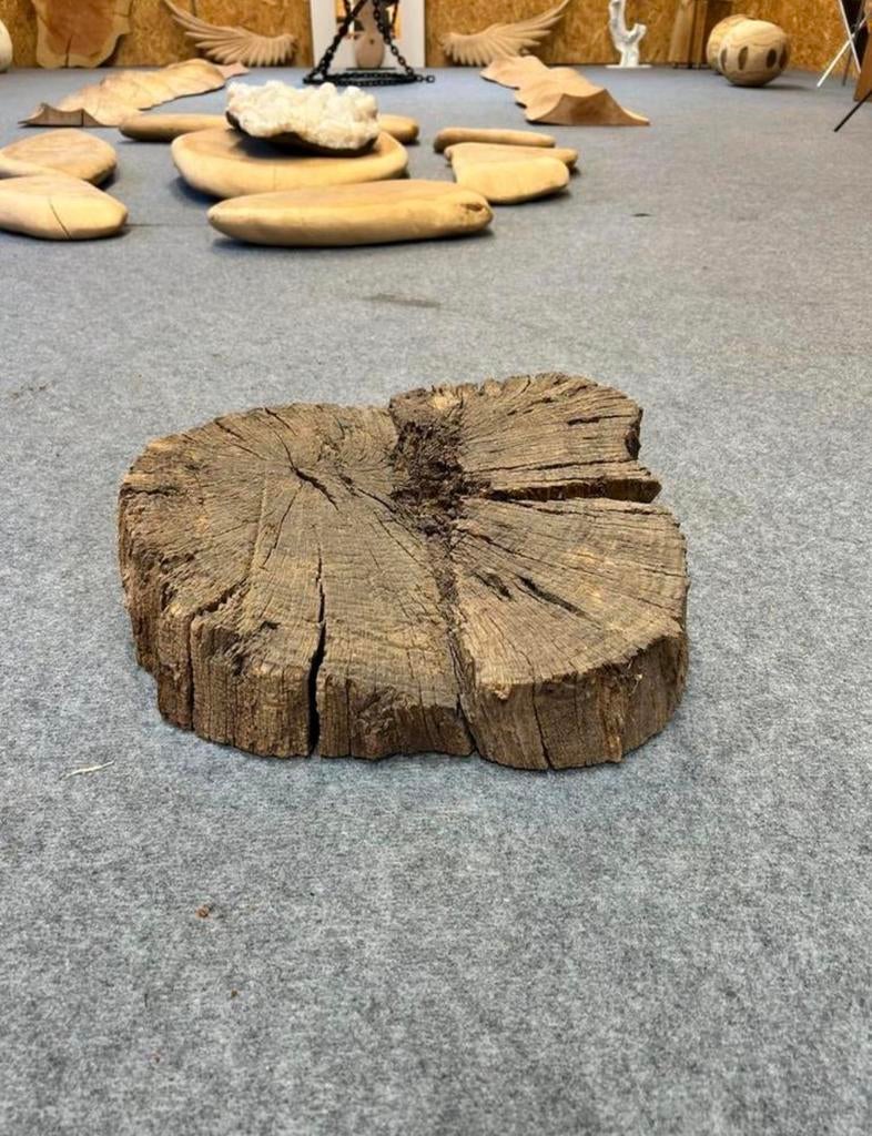 Epoxy boomstam schijf, Ophalen of Verzenden