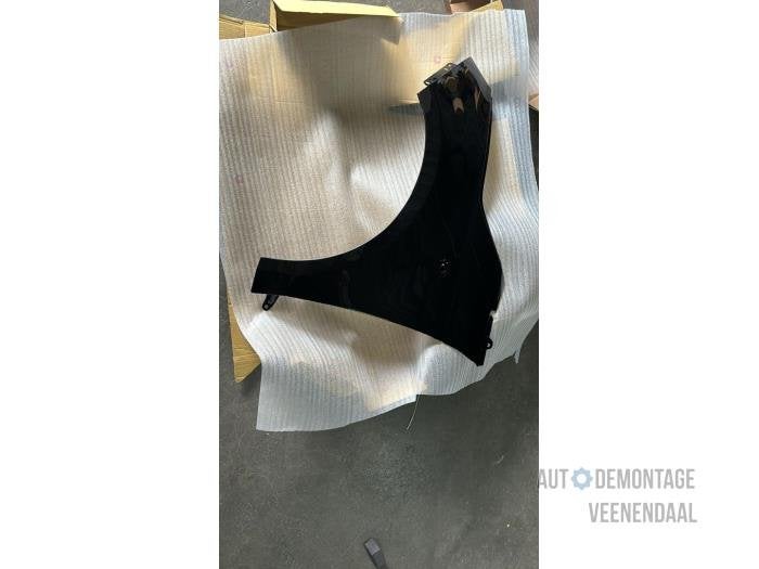 Scherm links-voor van een Fiat 500 (221), -, -, Nieuw, Ophalen of Verzenden