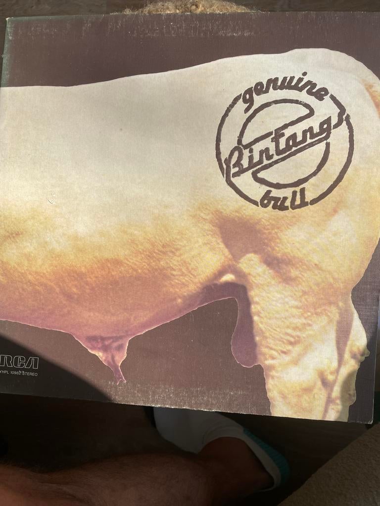 Bintang - Genuine Bull LP, Ophalen of Verzenden, Zo goed als nieuw, 12 inch, Singer-songwriter