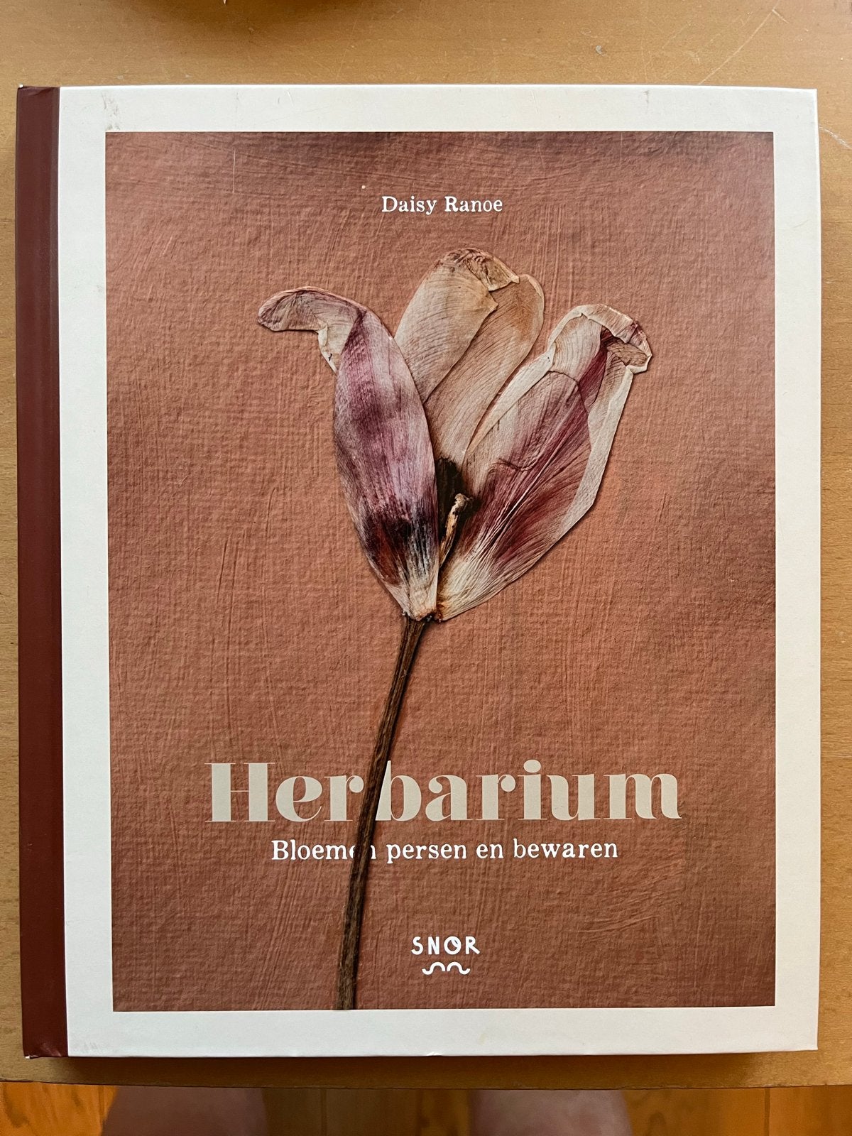Herbarium: Bloemen persen en bewaren - Daisy Ranoe, Boeken, Ophalen of Verzenden, Zo goed als nieuw, Scrapbooking en Knutselen