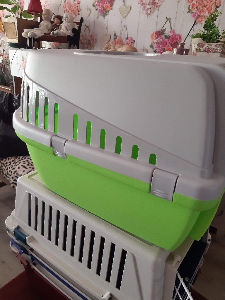 Transportbox kat, mooi groen, Ophalen, Zo goed als nieuw