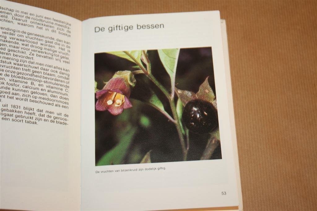 Bessen, bramen en andere wilde vruchten - Manfried Pahlow, Ophalen of Verzenden, Gelezen, Bloemen, Planten en Bomen