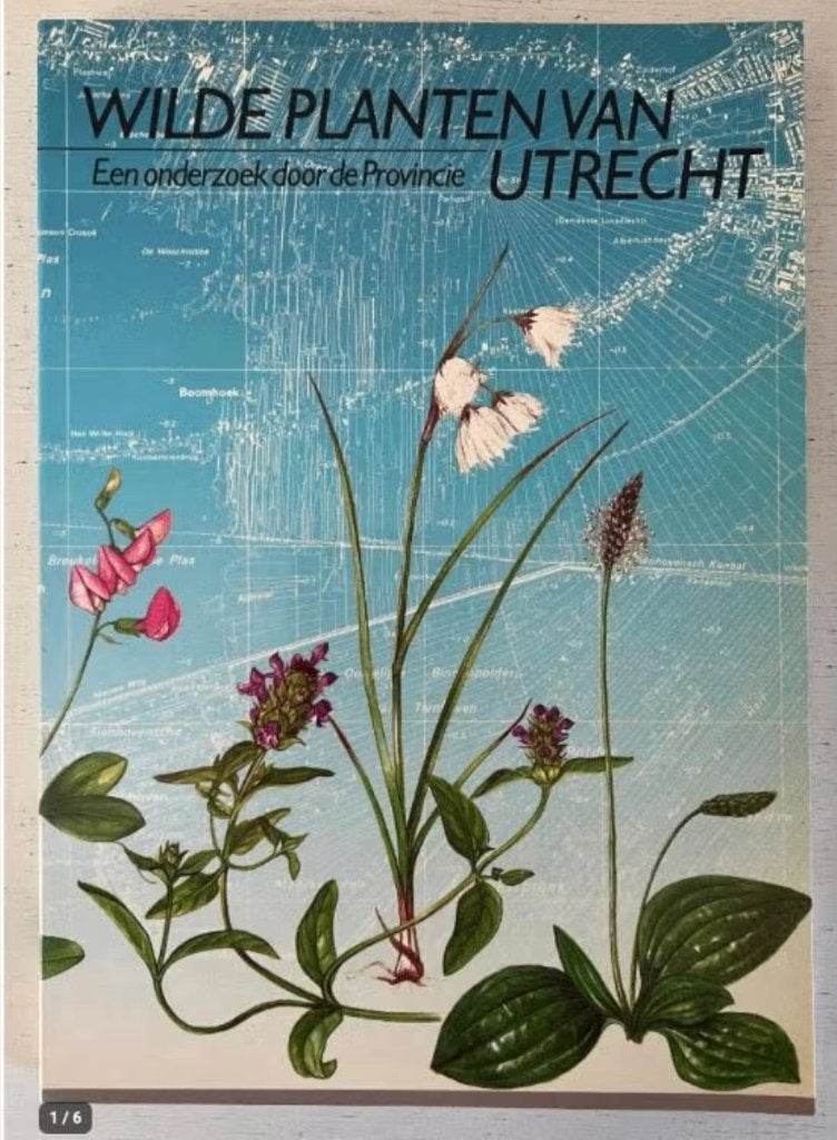 Wilde planten van Utrecht - P. Hessel H. Weijs, Boeken, Ophalen of Verzenden, Zo goed als nieuw, Bloemen, Planten en Bomen