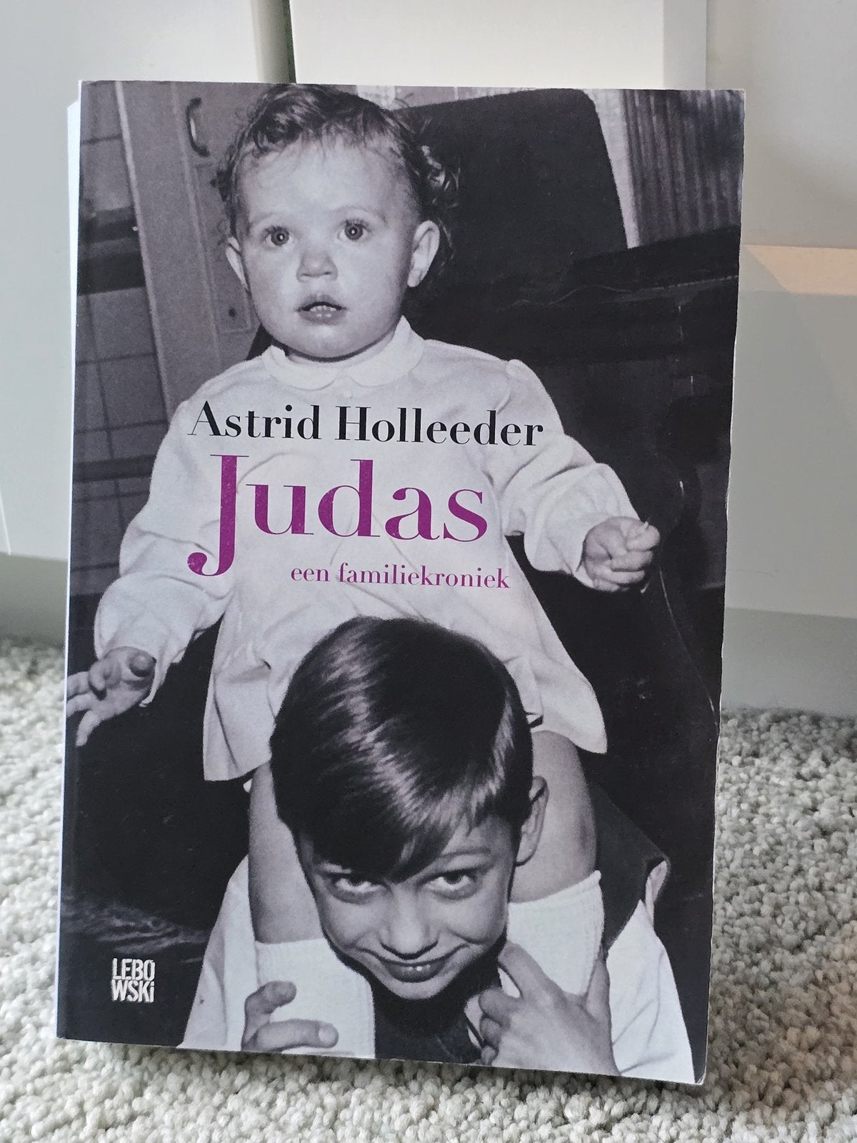 Boek Judas Astrid Holleeder, Ophalen of Verzenden, Gelezen