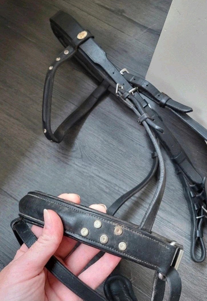 Zwart leren hoofdstel met sierstenen, Full, Hoofdstel, Ophalen of Verzenden, Inclusief teugels, Full