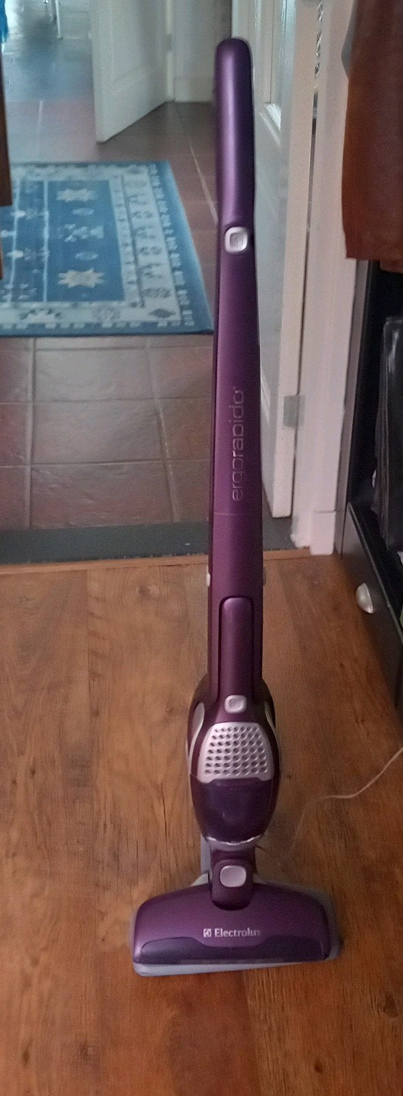 Electrolux Ergorapido Steelstofzuiger met kruimeldief, Witgoed en Apparatuur, Stofzuigers, Ophalen, Gebruikt, Draadloos, Steelstofzuiger