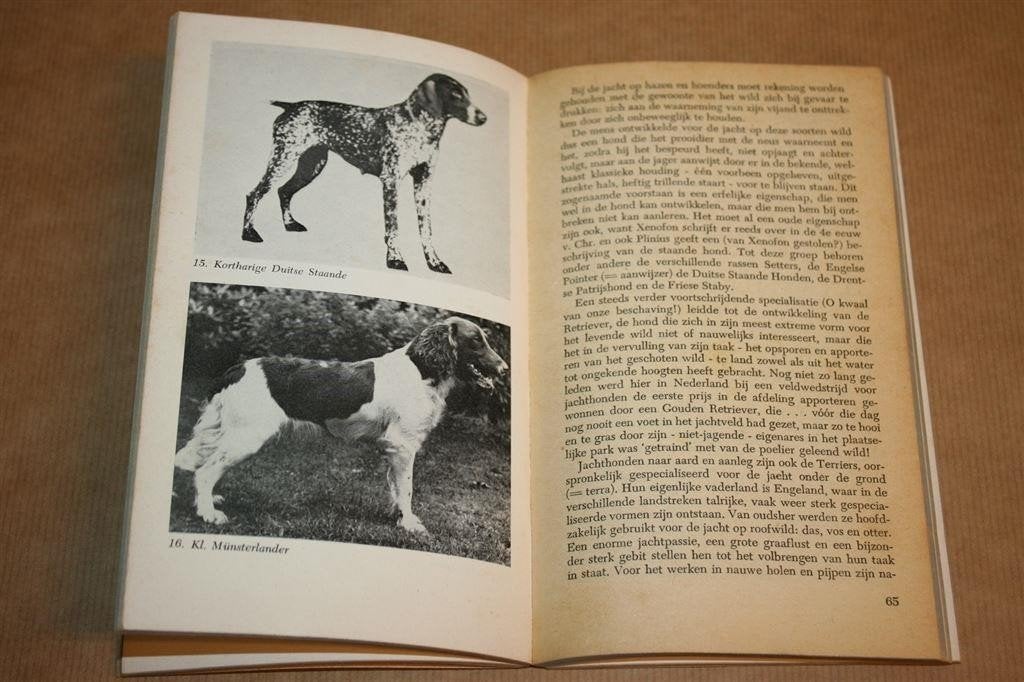Prisma Hondenboek — Van Rheenen, Vintage Hondengids 1958, Boeken, Ophalen of Verzenden, Gelezen