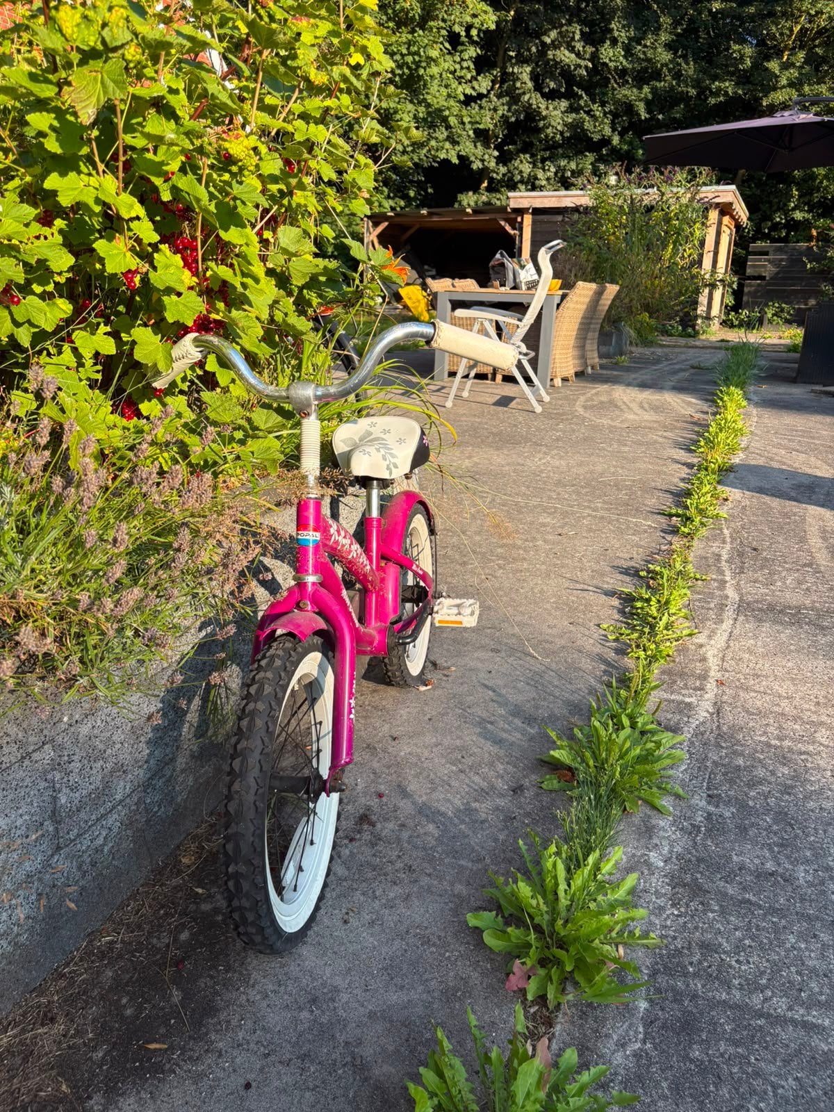 Popal 16 inch, Fietsen en Brommers, Fietsen | Driewielfietsen, Ophalen, Gebruikt