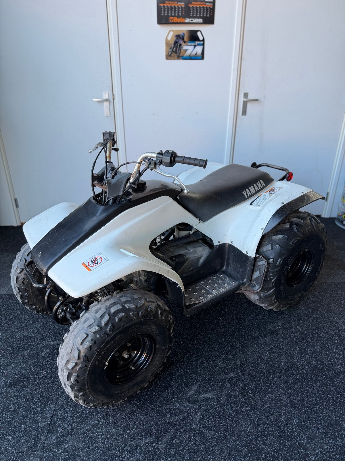 Yamaha Breeze 125cc 4T Quad - Volledig Onderhouden, Fietsen en Brommers, Ophalen, Gebruikt, Overige typen, 125 cc