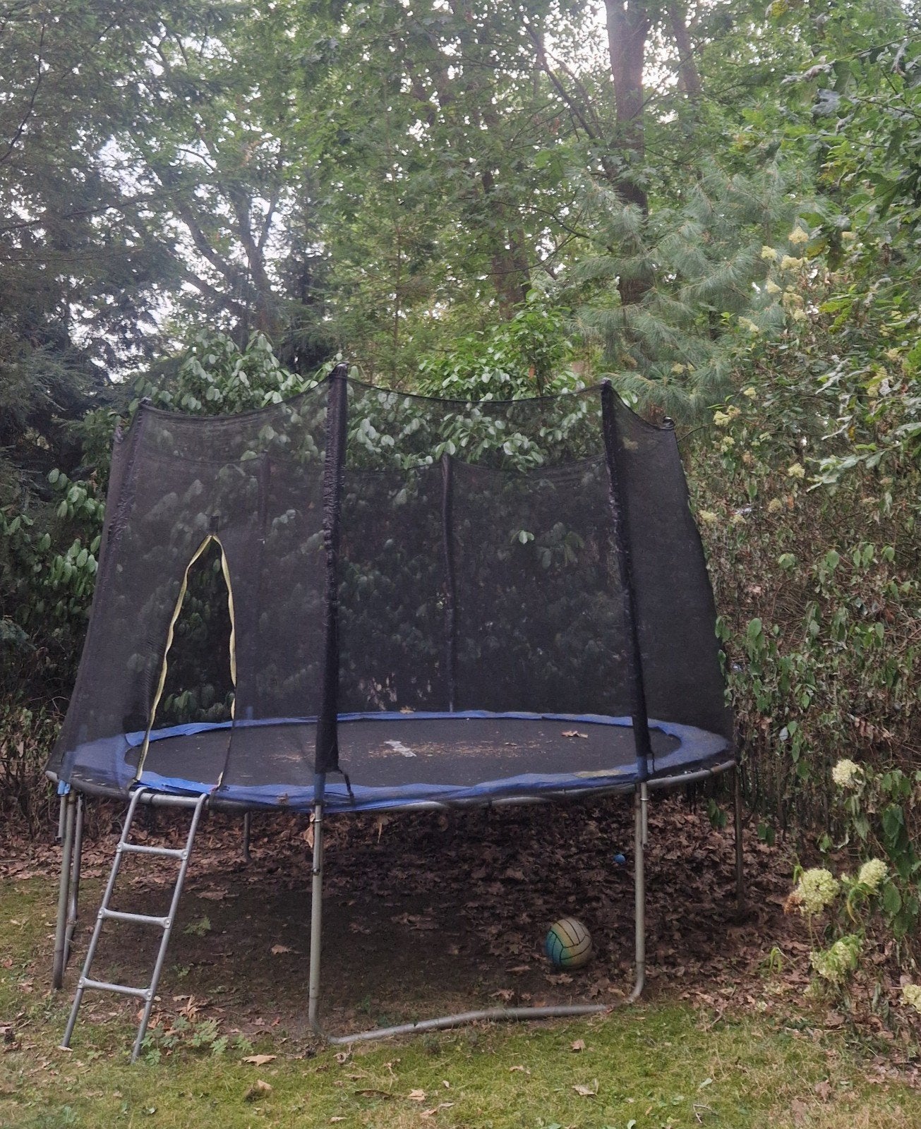 Grote trampoline met veiligheidsnet en ladder, Ophalen, Gebruikt