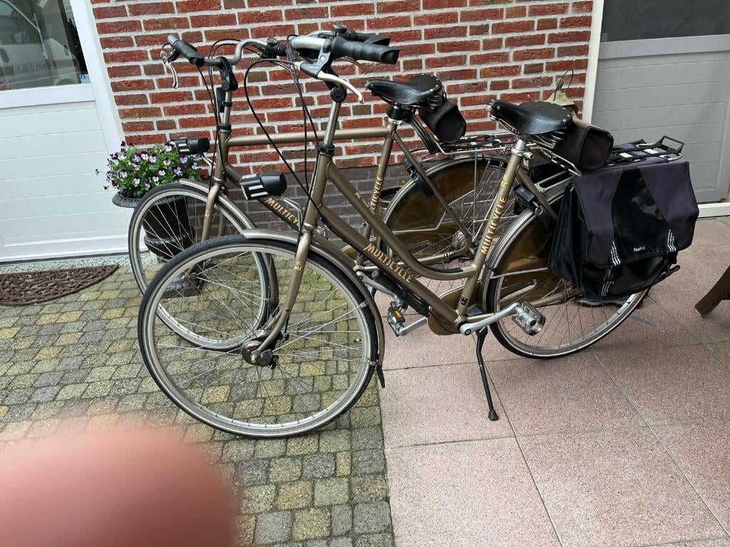 Dames en heren fiets., Gebruikt, Versnellingen, Schijfrem, Ophalen