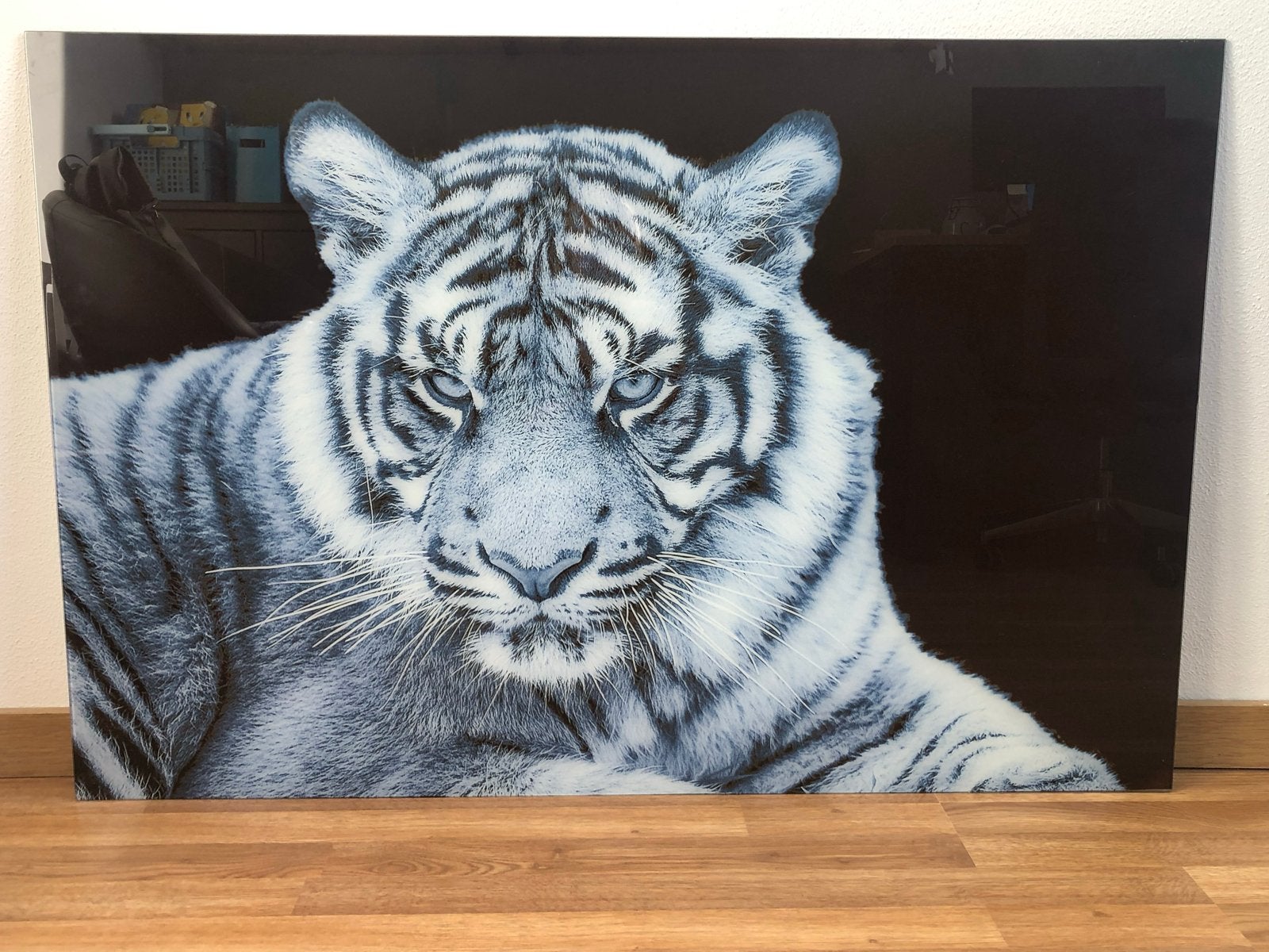 Prachtige Witte Tijger plexiglas kunstprint, Ophalen, 100 tot 125 cm, 75 – 100, Print