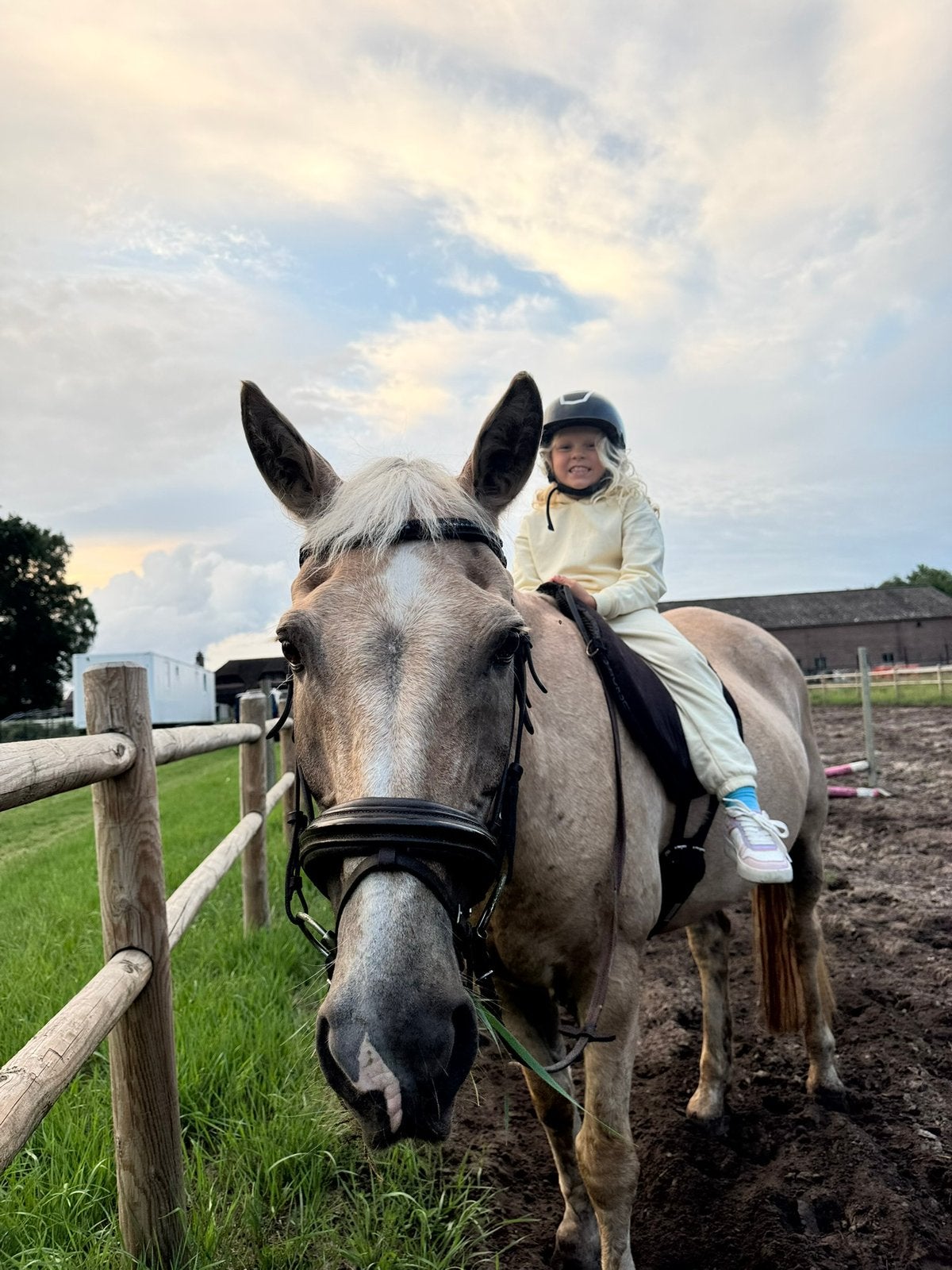 Paard rijd lessen