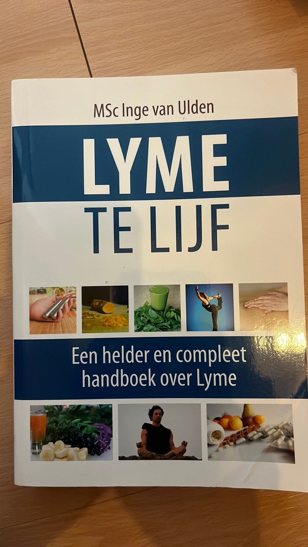 Inge van Ulden - Lyme te lijf, Ophalen of Verzenden, Zo goed als nieuw, Inge van Ulden