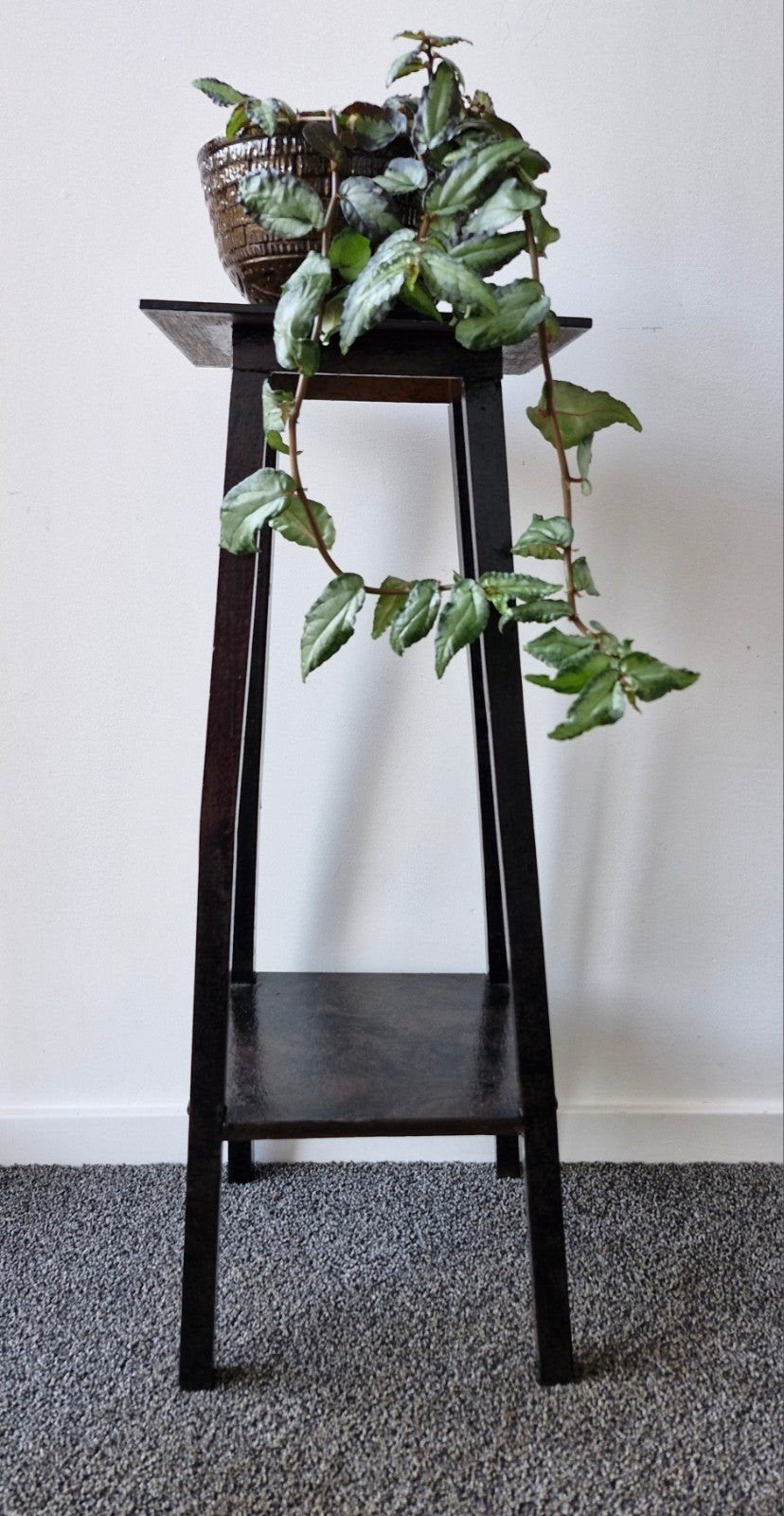 Hoge plantentafel - Zwart/Bruin, Huis en Inrichting, Ophalen, Gebruikt, Zwart, Hout