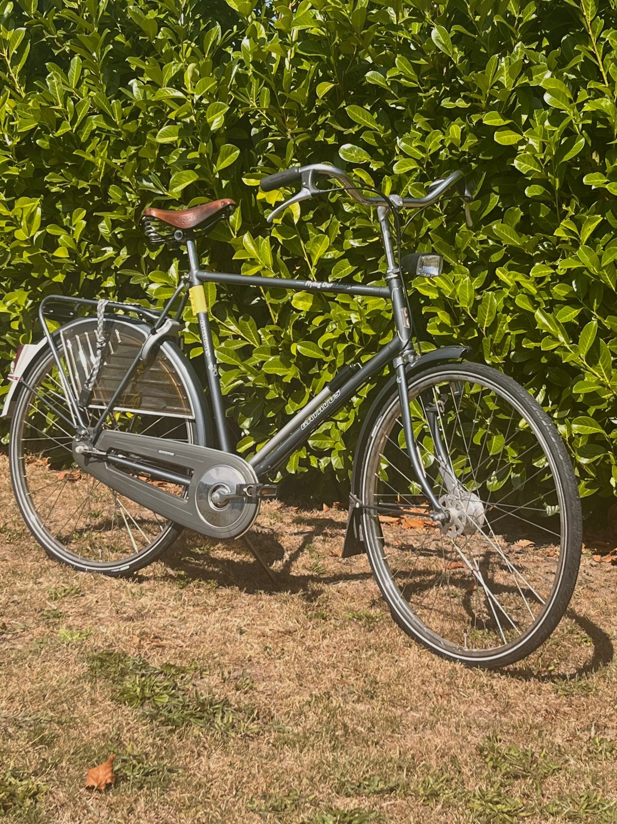 Batavus Flying Dutchman Royal class-heren fiets-Brooks zadel, Ophalen, Versnellingen, Batavus, Zo goed als nieuw