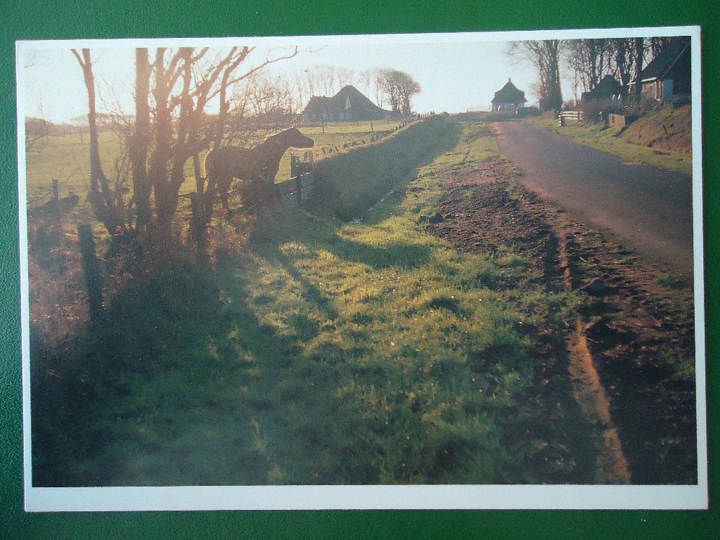 (76) Kaart: TEXEL, Verzenden, 1980 tot heden, Gelopen, Waddeneilanden
