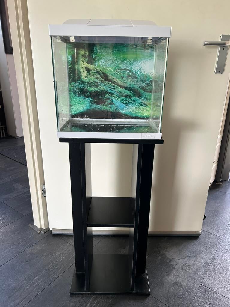 Aquarium 25 liter merk superfish, Dieren en Toebehoren, Vissen | Aquaria en Toebehoren, Ophalen, Gebruikt, Leeg aquarium, Superfish