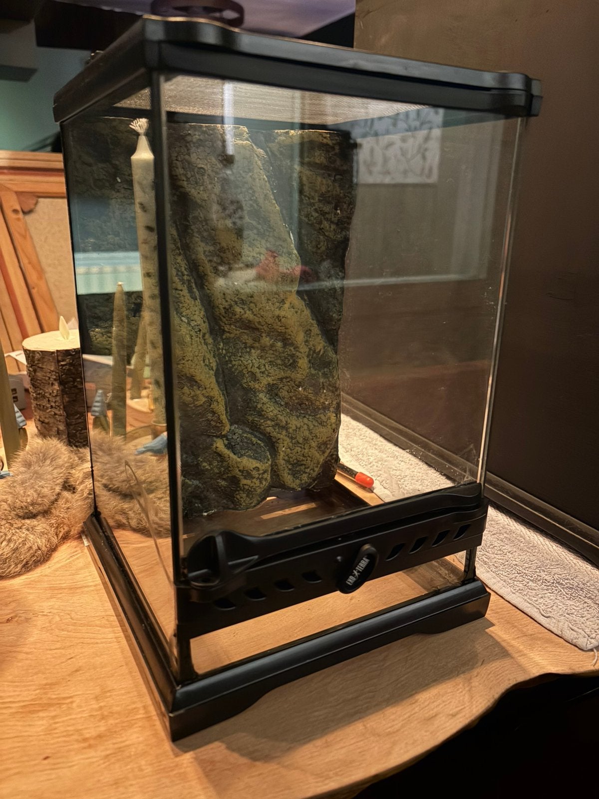 Exo terra 20x20x30 nano terrarium met achterwand als nieuw, Ophalen, Zo goed als nieuw, Terrarium of Paludarium