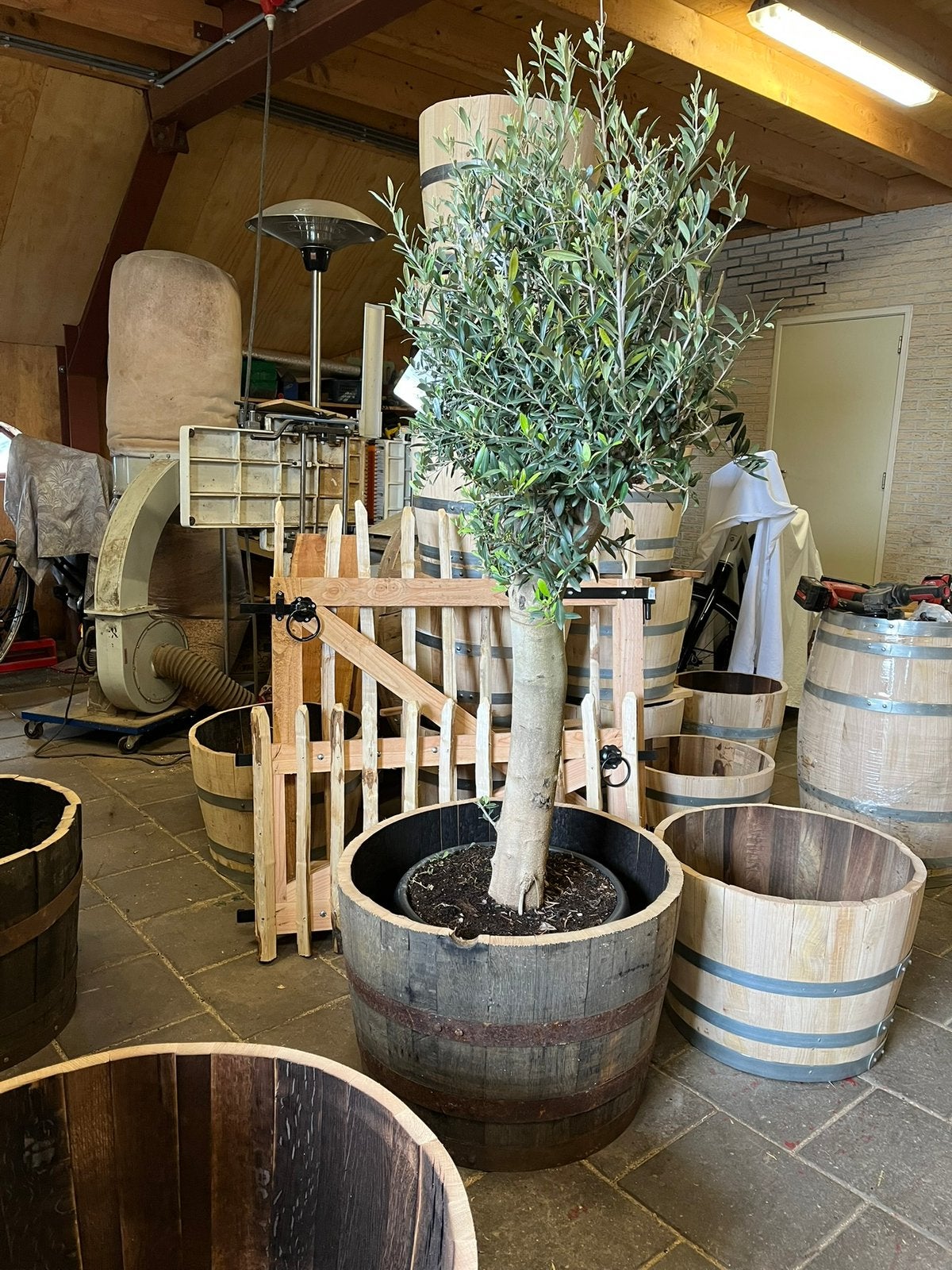 Eiken houten bloembak half wijnvat whiskyvat palmboom vijver, Gerard Krale, Rond, Nieuw, Ophalen of Verzenden