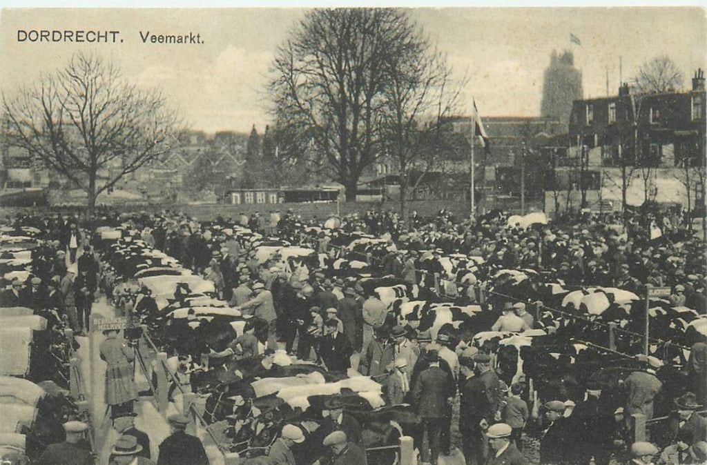 701-072-049 Dordrecht Veemarkt, Verzamelen, Ophalen of Verzenden, Voor 1920, Zuid-Holland