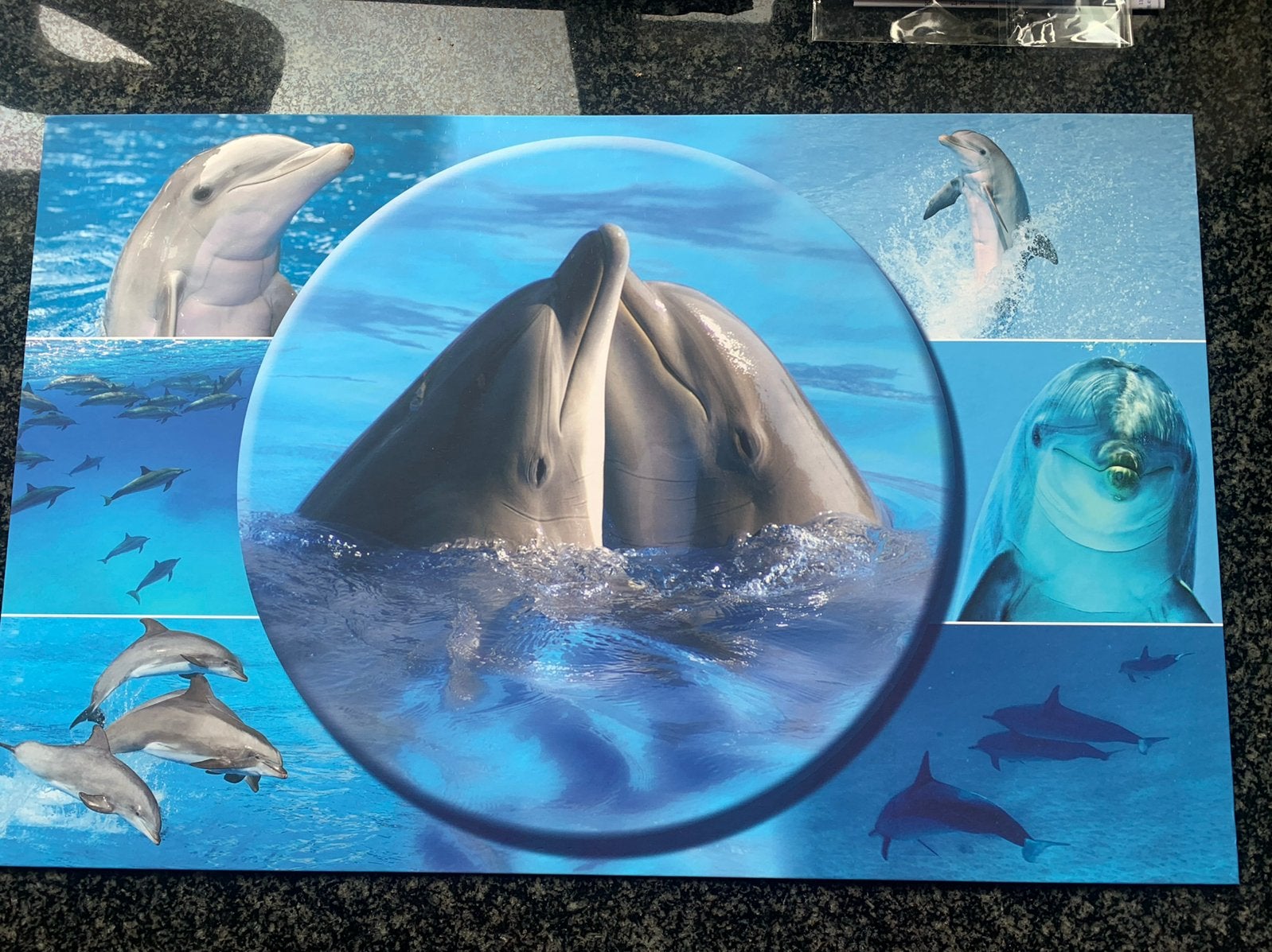 Placemat dolfijnen, Verzamelen, Ophalen of Verzenden, Nieuw, Dier