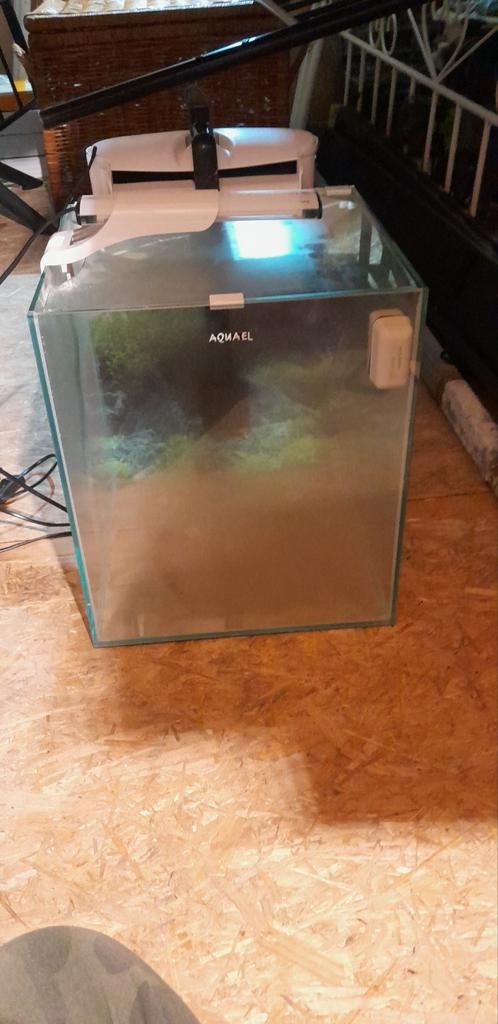 Aquarium + toebehoren, Ophalen, Leeg aquarium