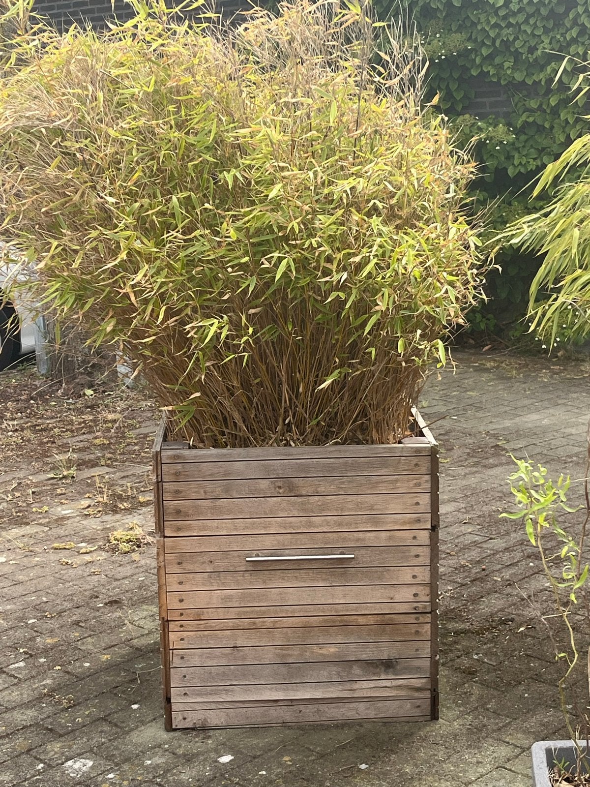 Houten plantenbak met bamboe, Gebruikt, Balkon, Vierkant, Ophalen of Verzenden