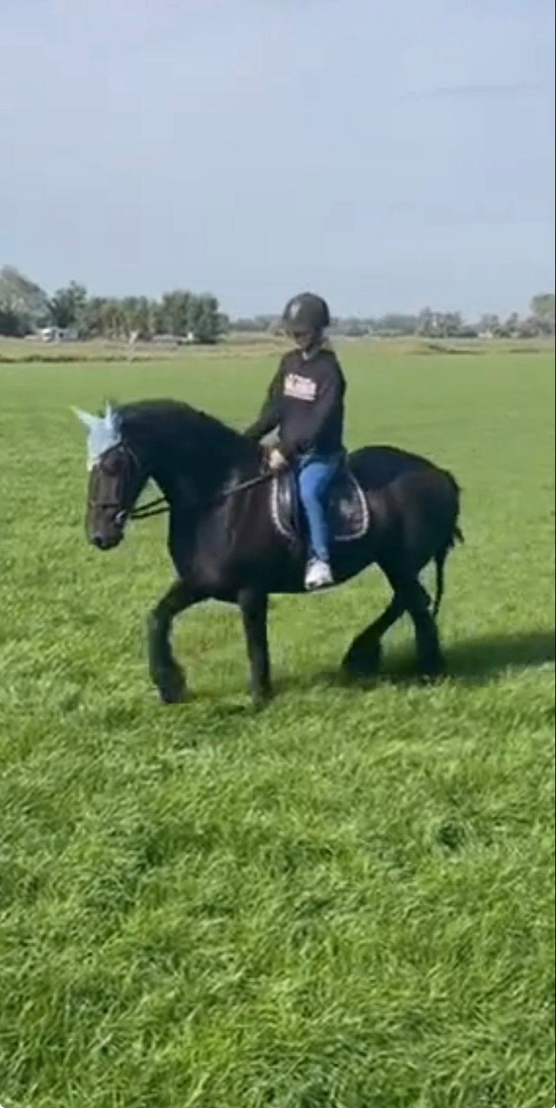 Verzorg pony/paard gezocht, Ophalen of Verzenden