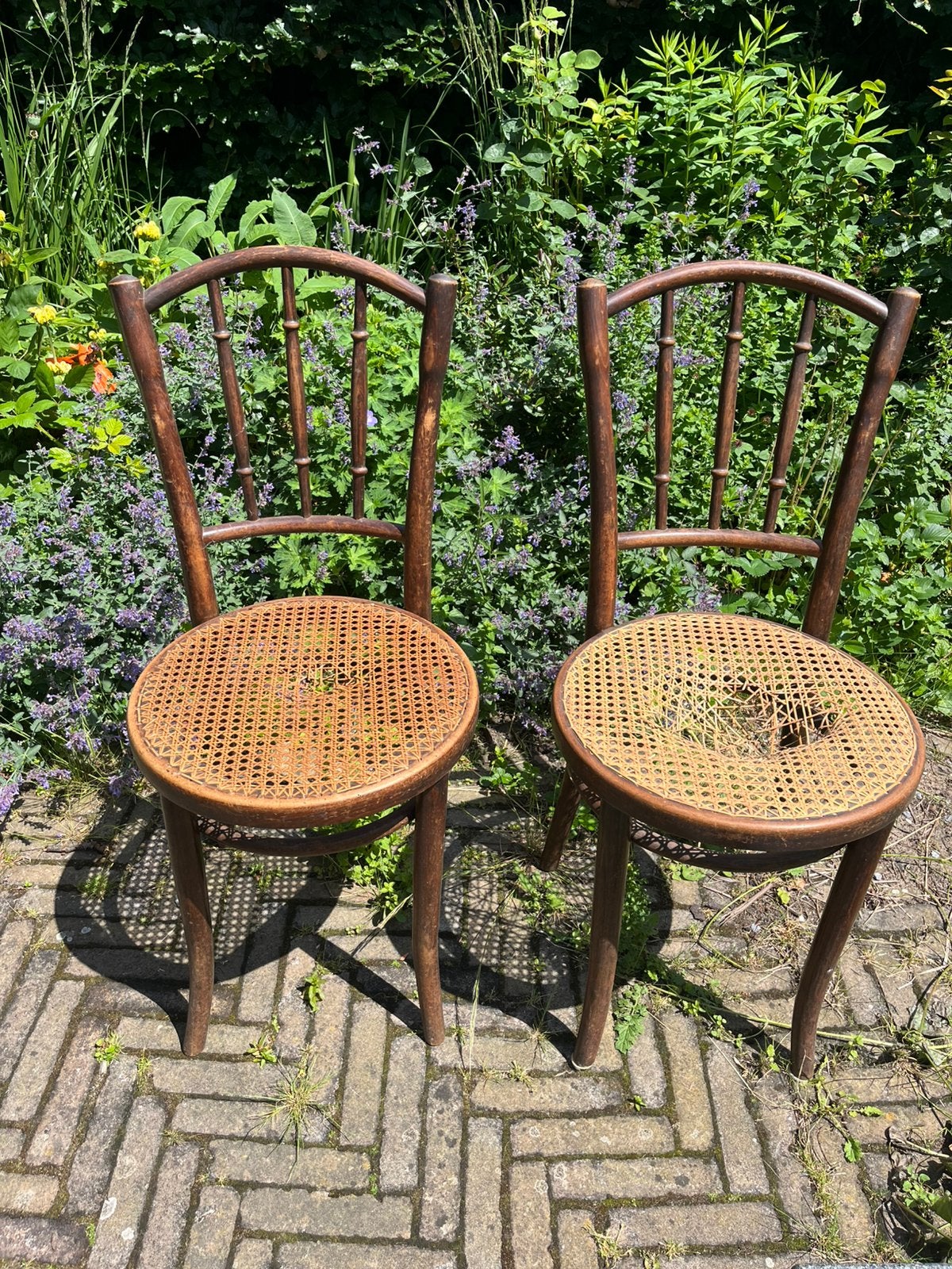 2 Thonet stoelen met rieten zitting - restauratieproject, Ophalen of Verzenden