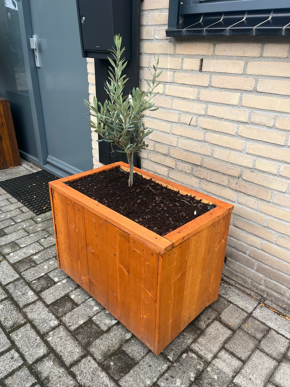 Houten plantenbak op wieltjes met olijfboom - 70x45 cm, Ophalen, Gebruikt, Balkon, 60 tot 100 cm