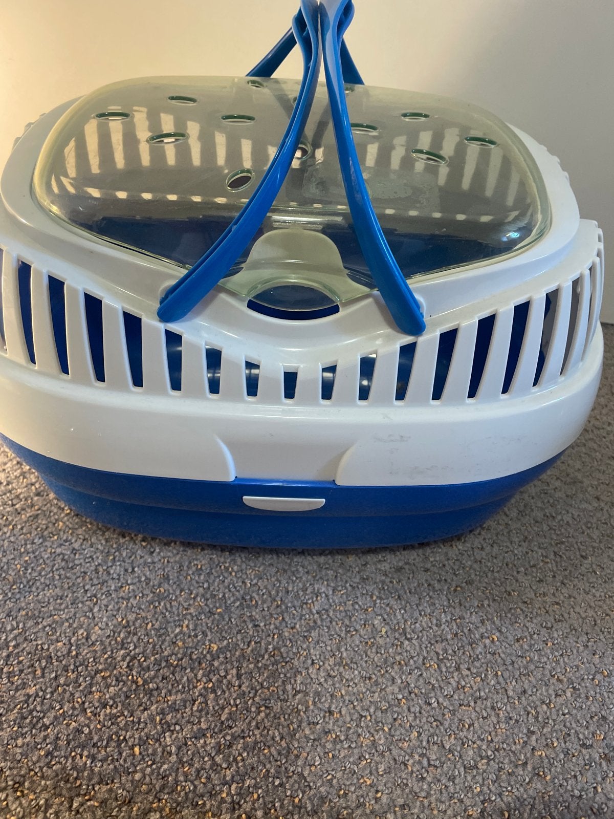 Transportbox voor cavia’s, konijn, kip , vogel, Dieren en Toebehoren, Ophalen of Verzenden, Zo goed als nieuw